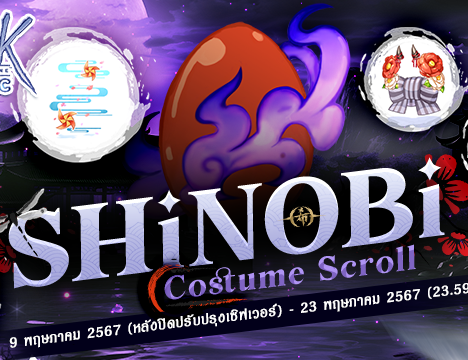 Costume Enchant Stone Box 14